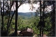 Landscape near Gitarama